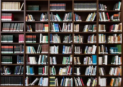 ML research and industry models: Foundations for AI