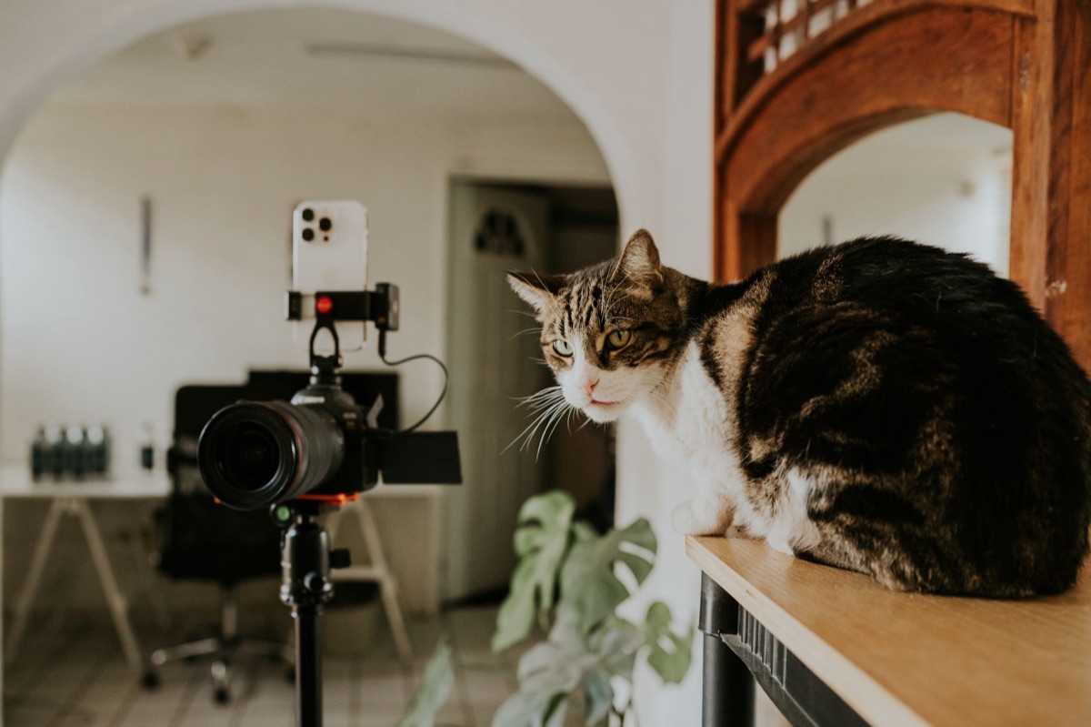 Moderner Arbeitsplatz für digitales Marketing und Content Creation